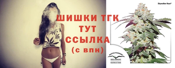 хмурый Богородицк