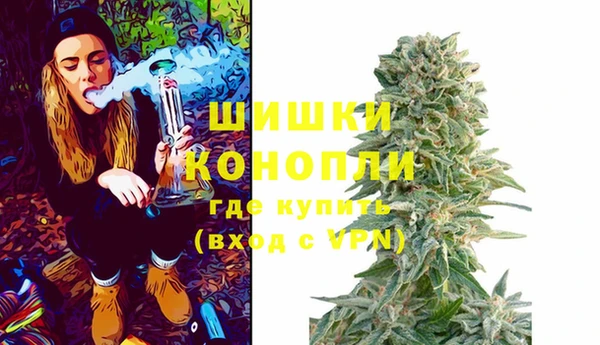 эйфоретик Белокуриха