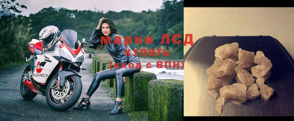 индика Беломорск
