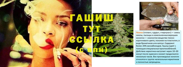 эйфоретик Белокуриха