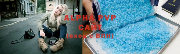 индика Беломорск
