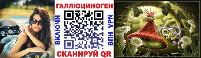 Купить  Данков  Галлюциногенные грибы прущие грибы 