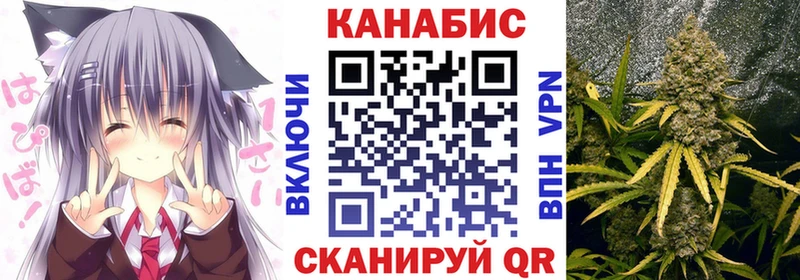Бошки Шишки семена  Купить где  Данков 